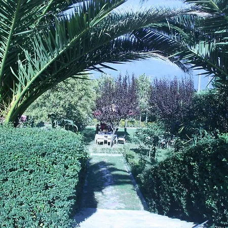 Kompleksi Alpin Hotel Tirana
